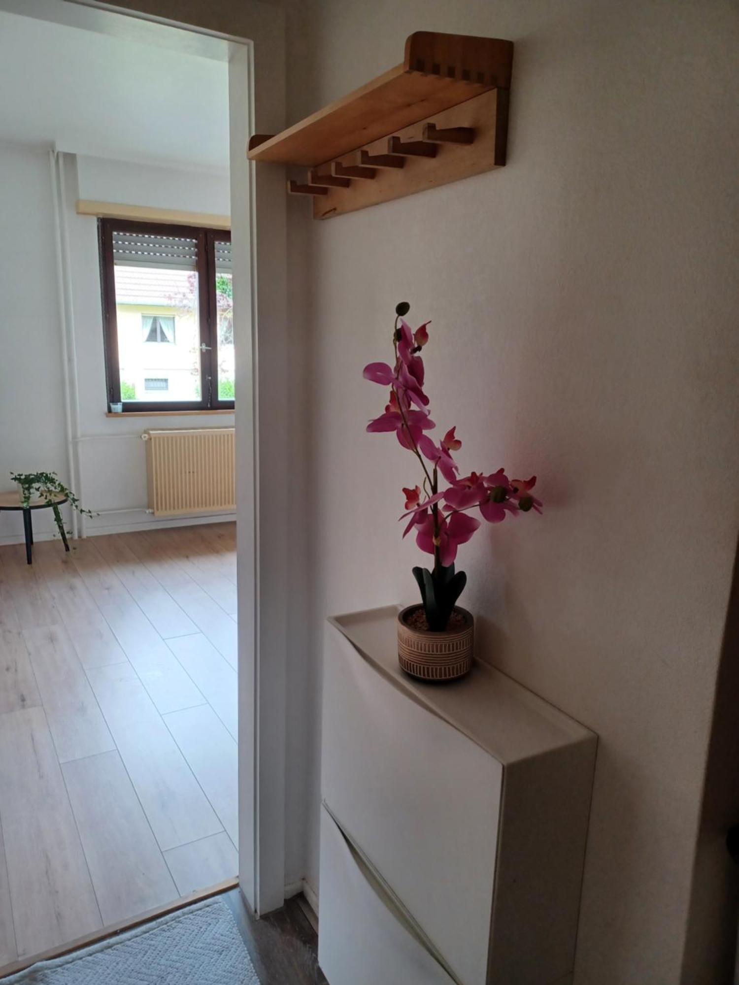 Au Rdc Cote Cour Avec Parking Ferme Proche Autoroute Et Tram C Apartment Mulhouse